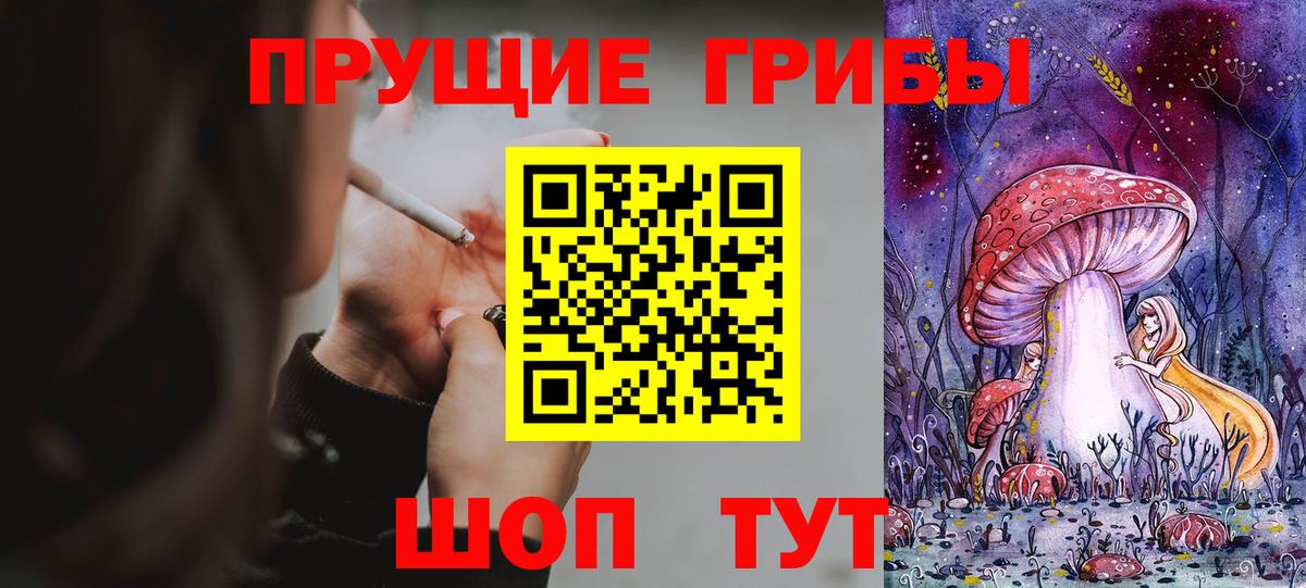 Красный Сулин  Псилоцибиновые грибы Cubensis  цена наркотик  Вход с VPN 