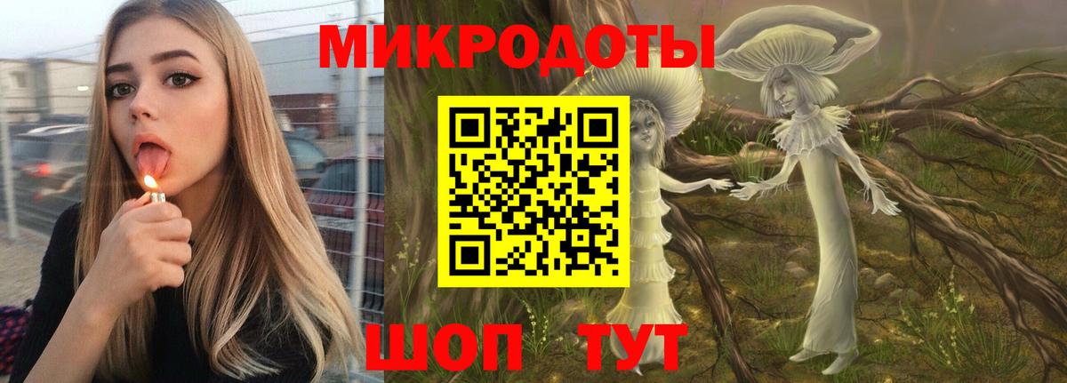 Псилоцибиновые грибы мицелий Красный Сулин